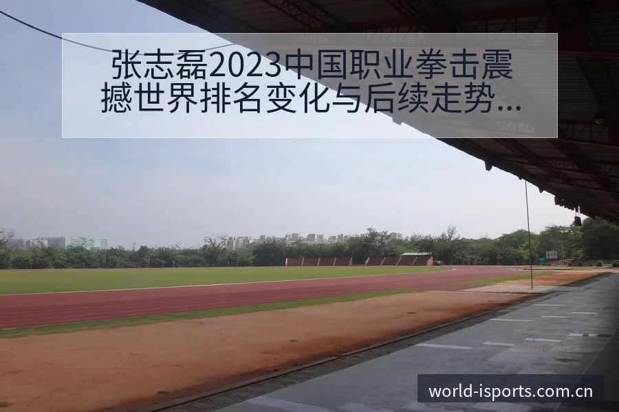张志磊2023中国职业拳击震撼世界排名变化与后续走势赛程 - 2026年国际足联世界杯